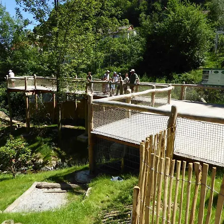 דירה Am Rebberg Dorlinbach